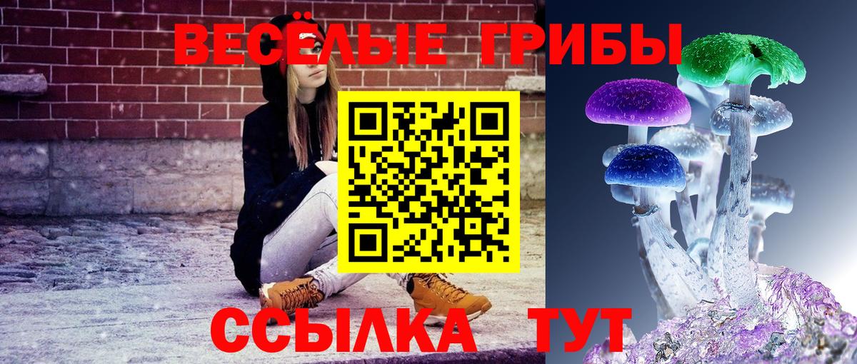 Галлюциногенные грибы MAGIC MUSHROOMS  Галлюциногенные грибы Cubensis  Вход с VPN  Баксан 